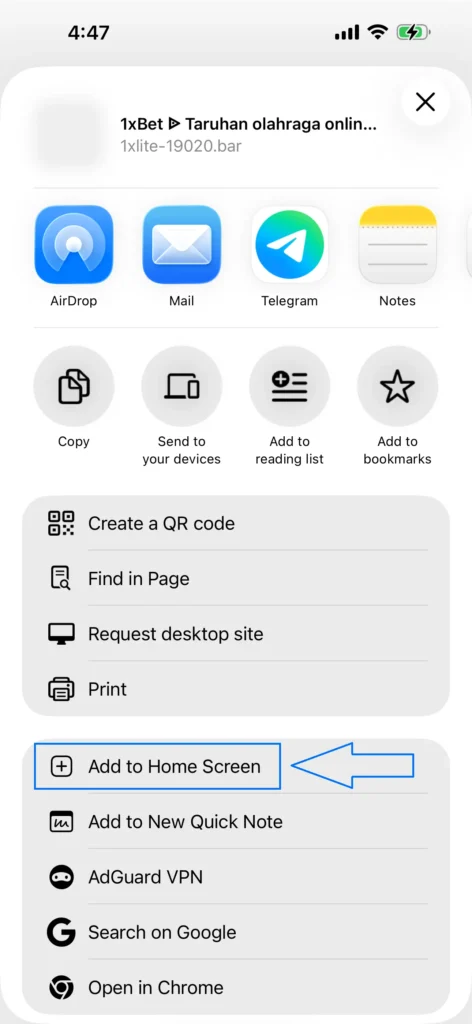 From the list, you only have to choose one option — Add to Home Screen.